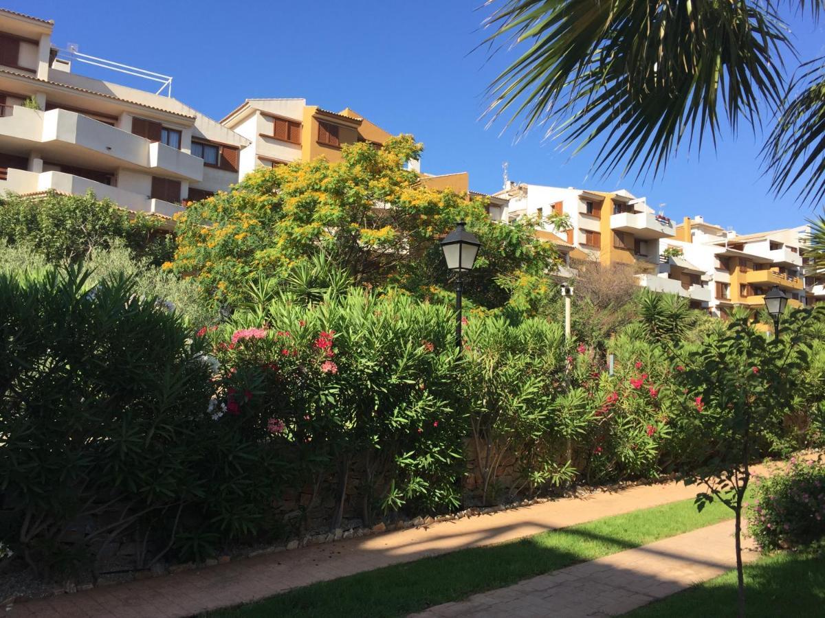 알리칸테 Torrevieja 200M From Sea Punta Prima 아파트 외부 사진