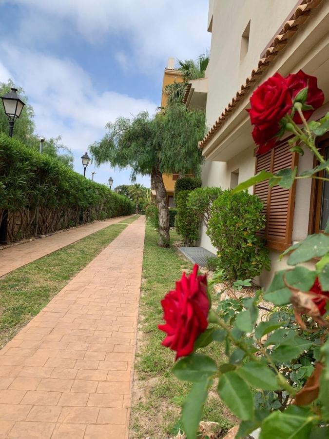알리칸테 Torrevieja 200M From Sea Punta Prima 아파트 외부 사진