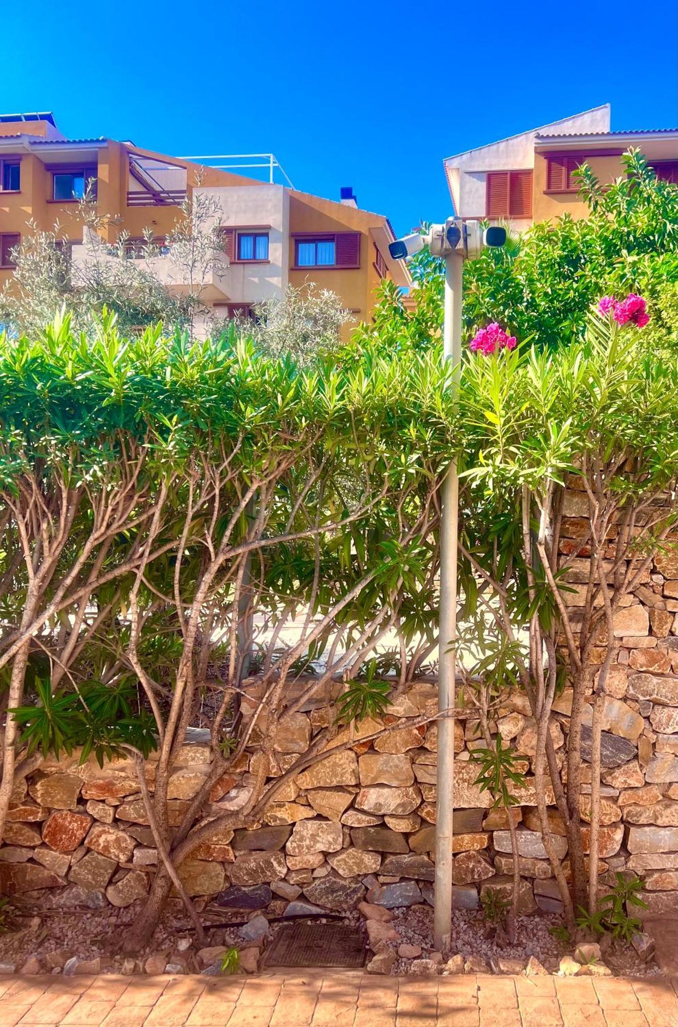 알리칸테 Torrevieja 200M From Sea Punta Prima 아파트 외부 사진